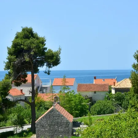Bjanka * Žuljana