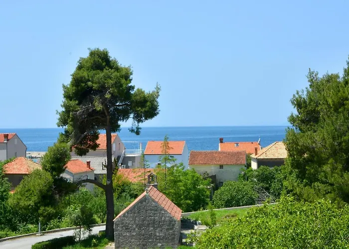 Bjanka * Žuljana